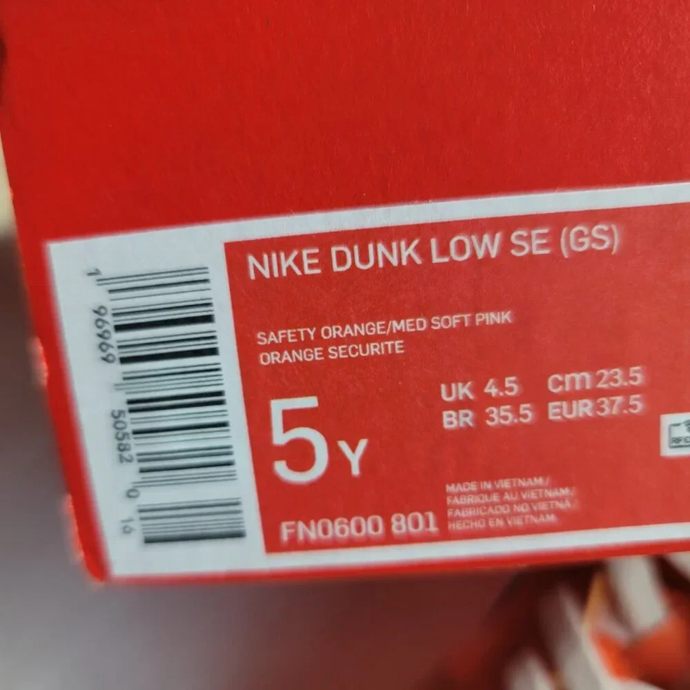 Nike Dunk Low SE Everything You Need Sneakers Boys Size 5